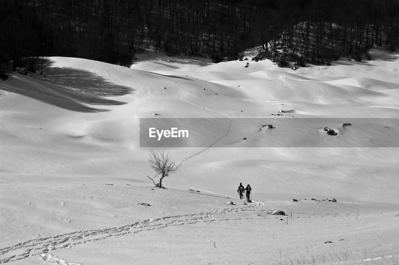 People on snow covered landscape