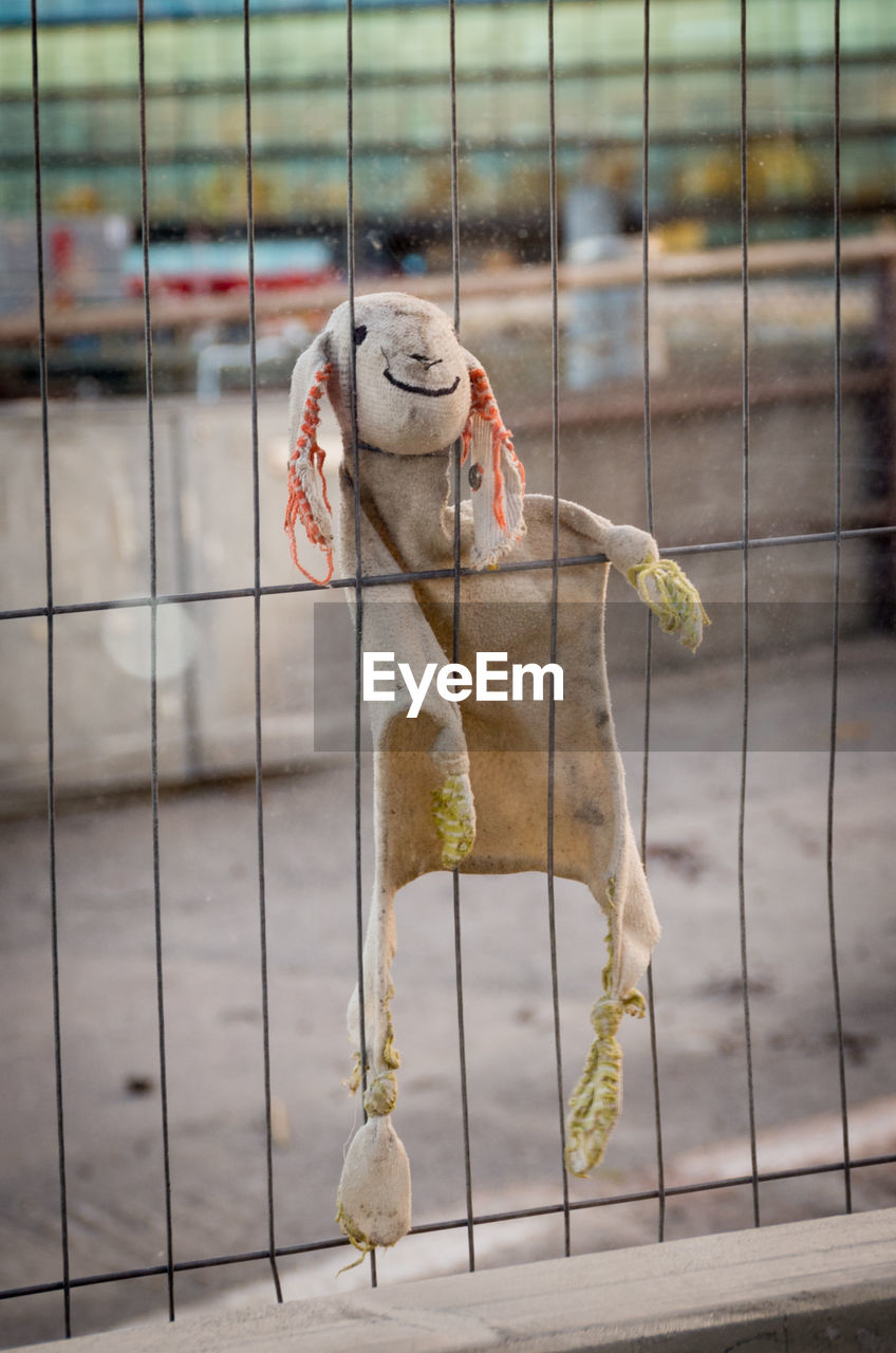 Close-up of forgotten toy bunny at construction site