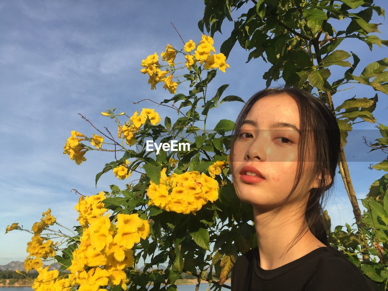 Portrait of woman against yellow flowering plants