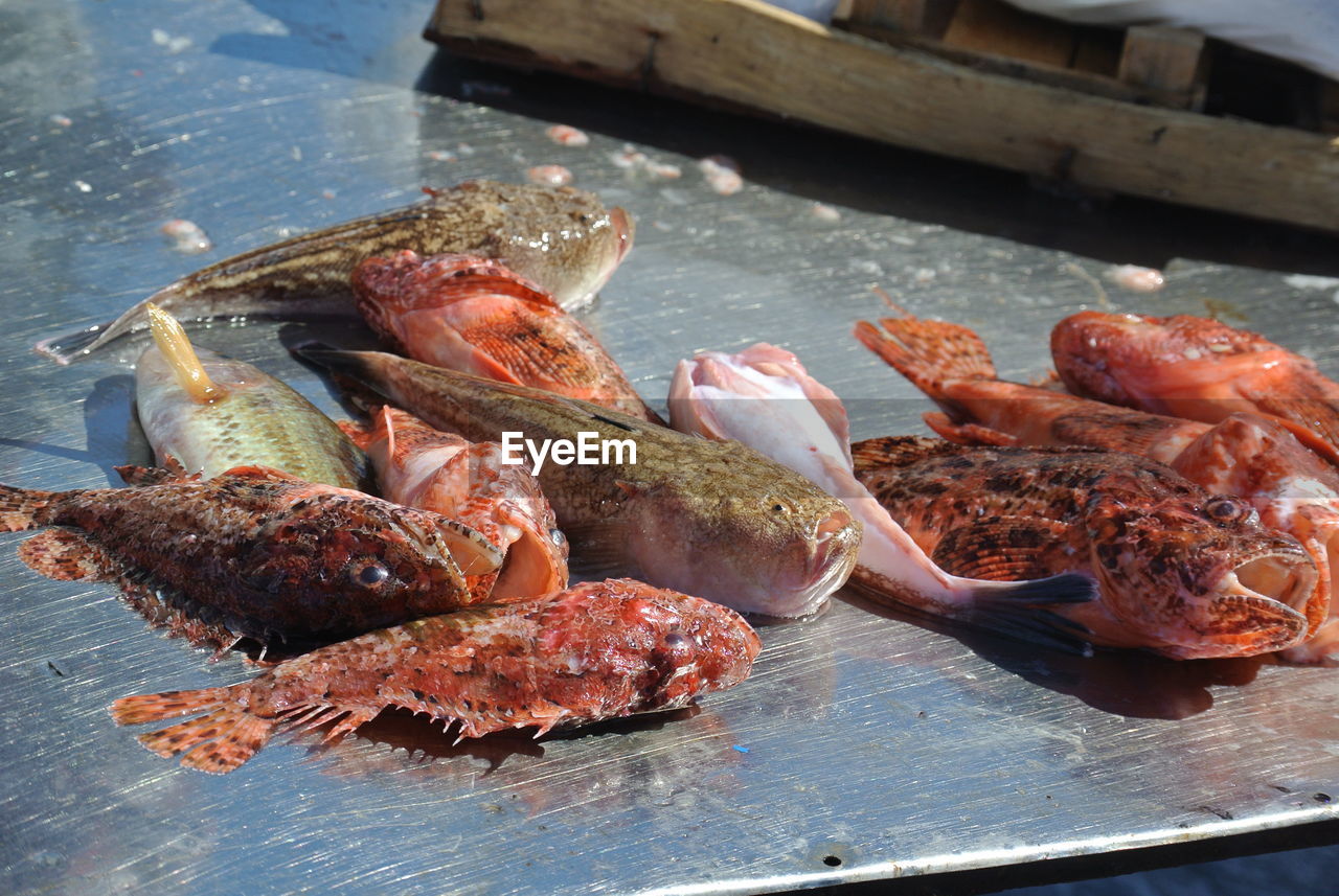 High angle view of fish on metal table at market