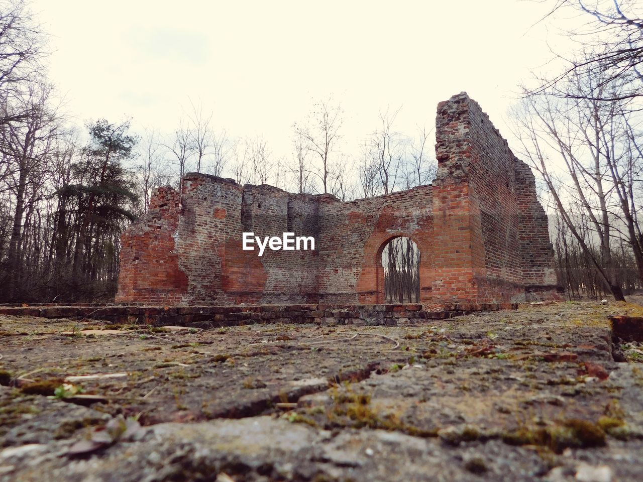 VIEW OF BUILT STRUCTURES AGAINST TREES