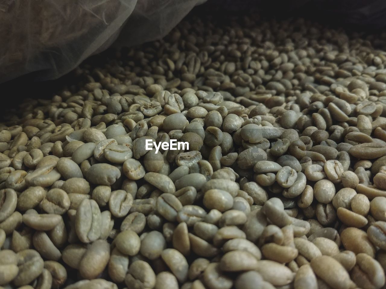 CLOSE-UP OF COFFEE BEANS IN CONTAINER