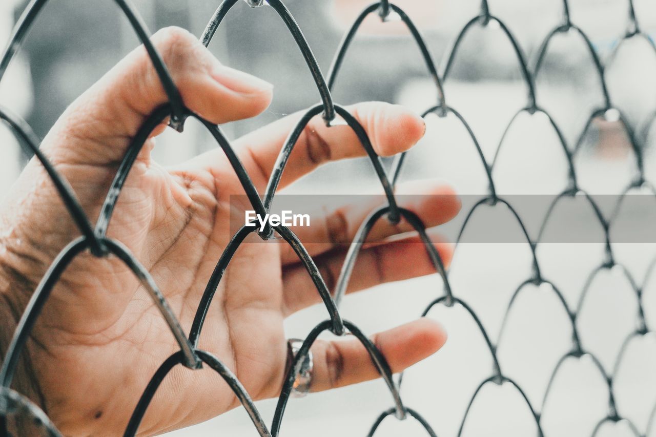 Close-up of hand holding chainlink fence