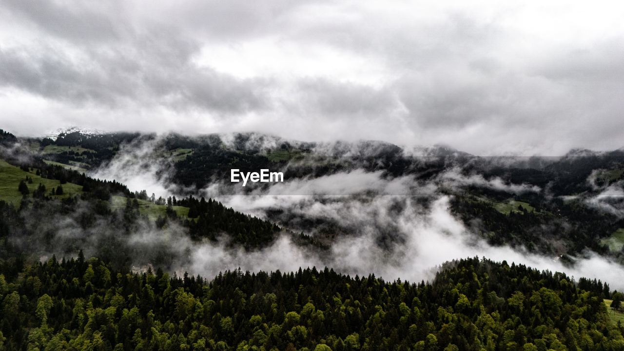 nature, cloud, environment, plant, scenics - nature, tree, mountain, beauty in nature, sky, landscape, land, forest, wilderness, fog, no people, mountain range, water, non-urban scene, travel, travel destinations, mist, pine tree, outdoors, coniferous tree, pine woodland, pinaceae, tourism, tranquility, overcast, tranquil scene, dramatic sky, storm, day, woodland, green, plateau, cloudscape, lake