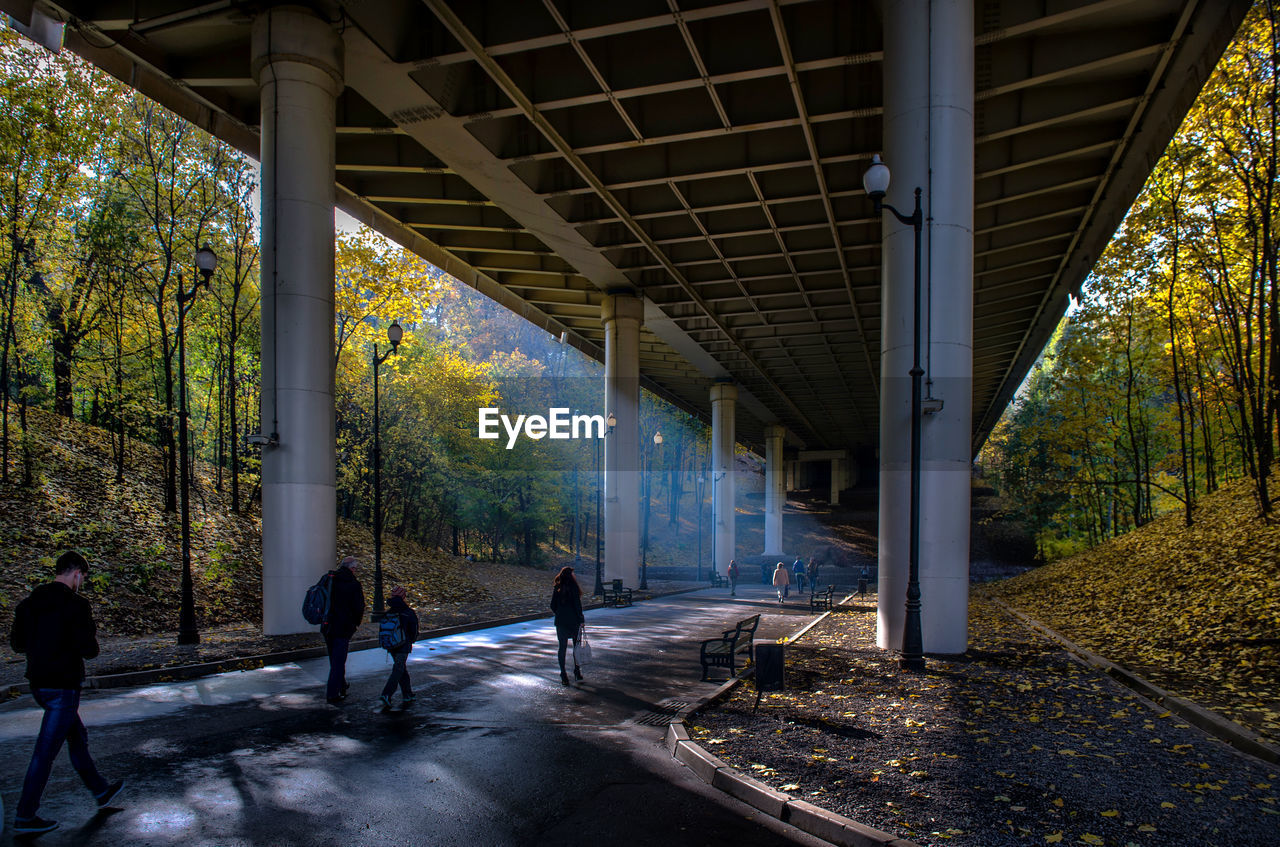 Rear view of people walking on road under bridge by autumn trees