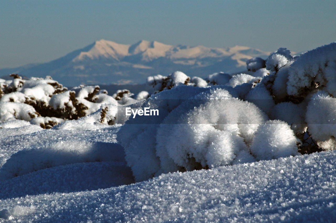 Ice crystals covering mountain vegetation. frozen nature, mountain landscape