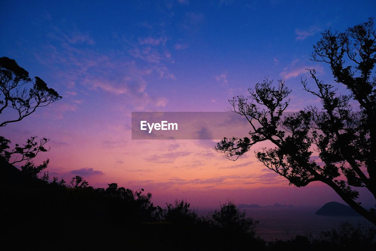 SILHOUETTE TREE AGAINST SKY AT SUNSET