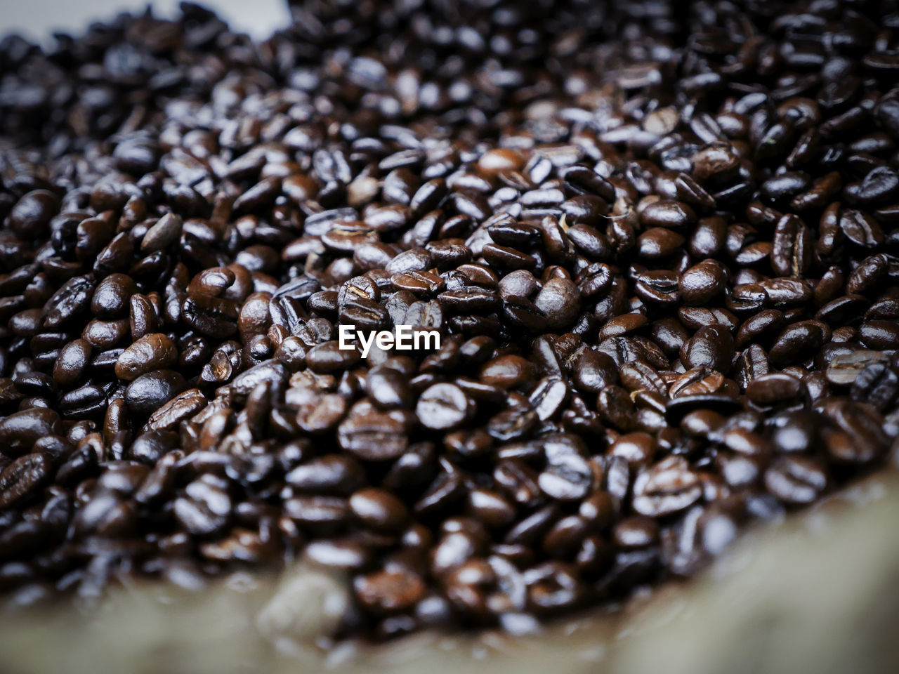 Close-up of roasted coffee beans