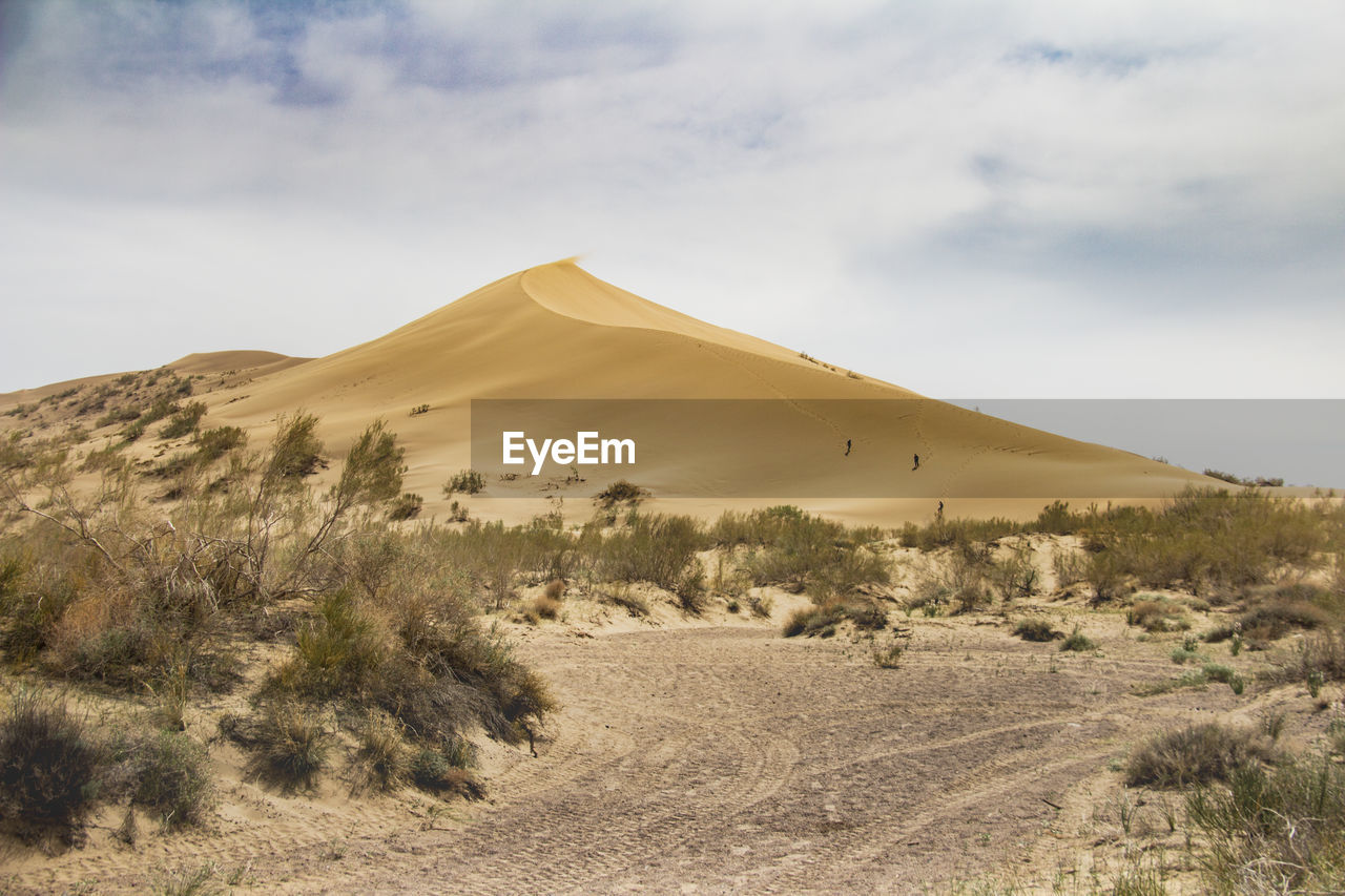 A large sand dune in the desert, bushes grow at the foot, a road leads to the dune, sky and clouds