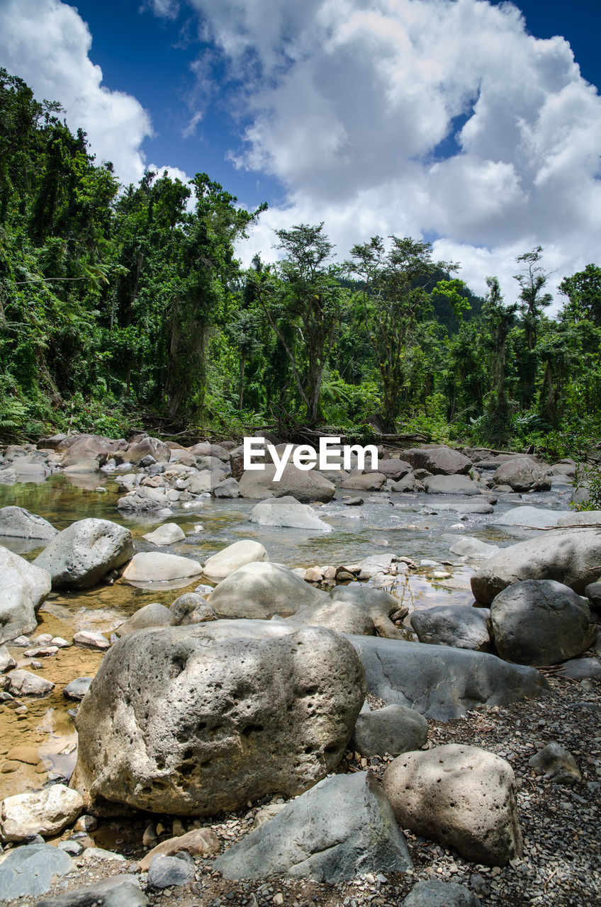 Scenic view of rocks in forest against sky