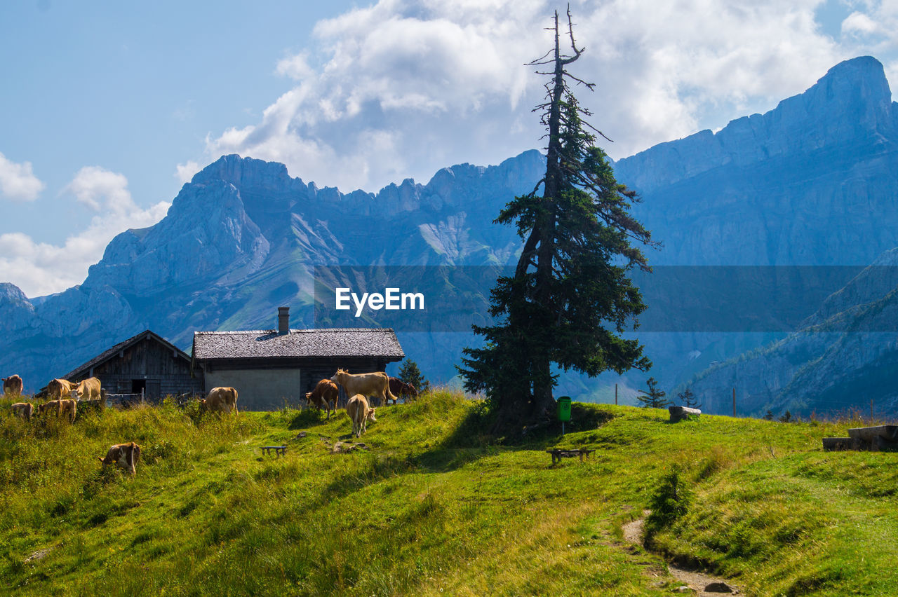 Les diablerets in lake of retaud in valais in swiss