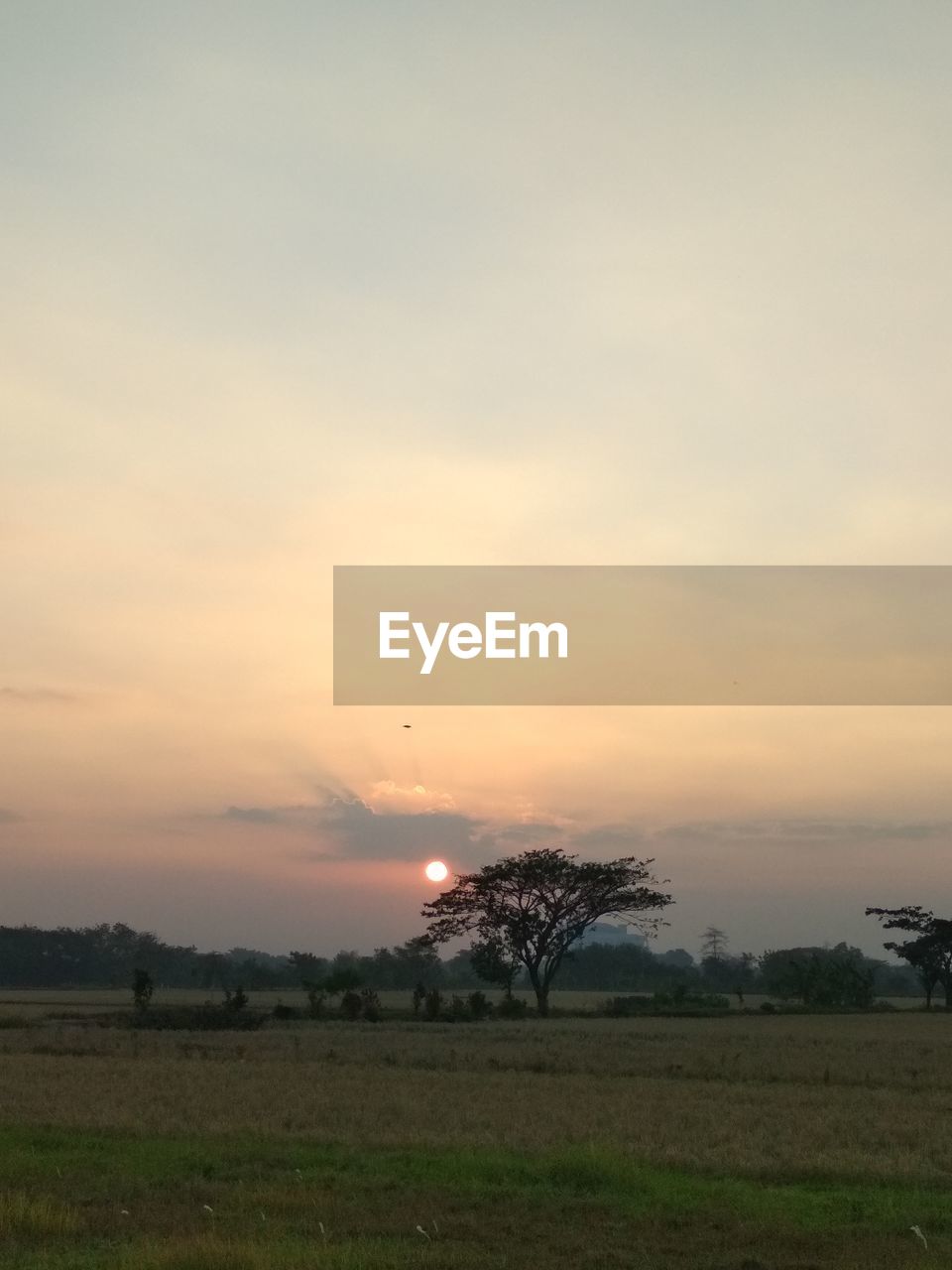 SCENIC VIEW OF FIELD AGAINST SKY AT SUNSET