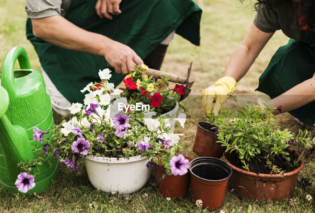 midsection of man holding potted plants