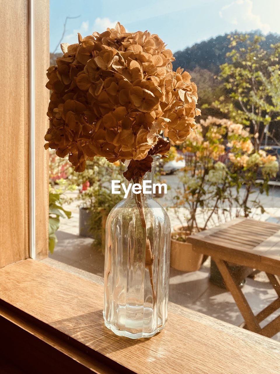 CLOSE-UP OF GLASS VASE ON TABLE BY WATER