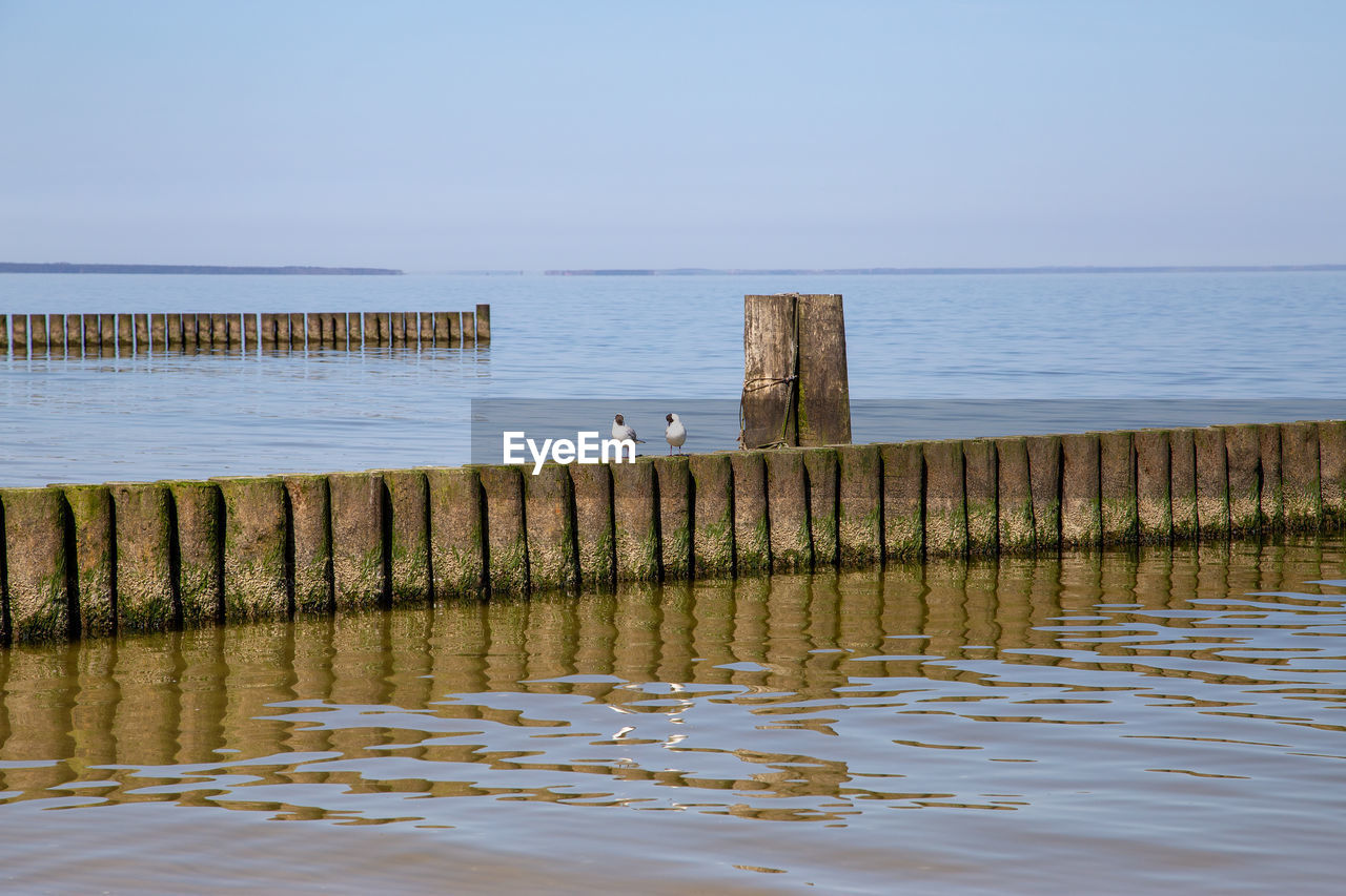 SEAGULLS ON WOODEN POST IN SEA AGAINST SKY