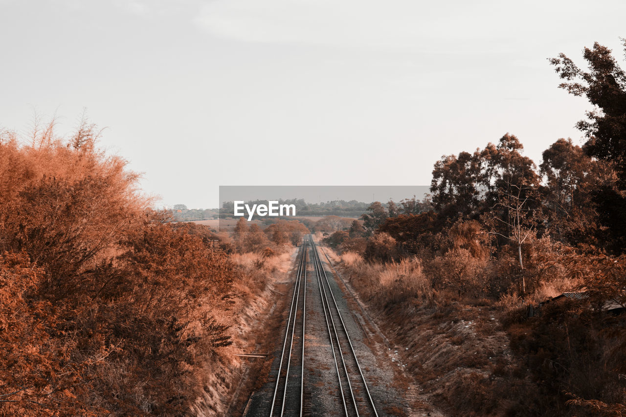 Railroad tracks amidst trees against sky on orange color tone