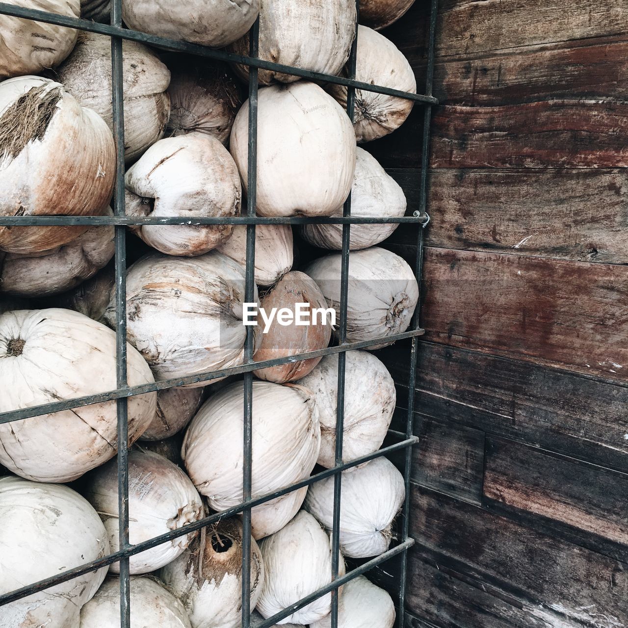 Close-up of coconuts by fence