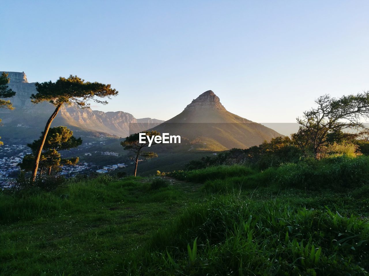 Scenic view of landscape against clear sky