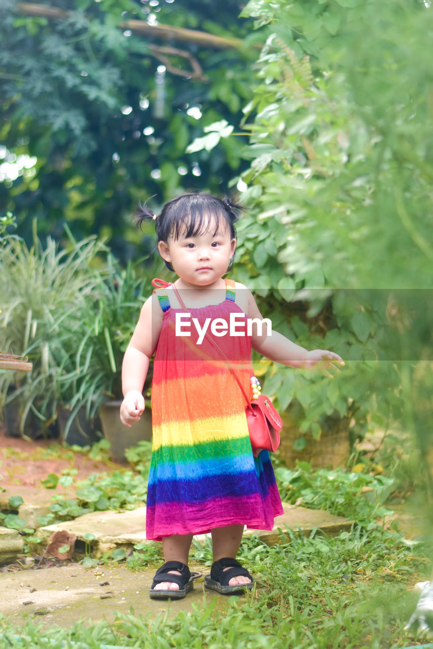 childhood, child, one person, full length, plant, toddler, cute, smiling, happiness, innocence, standing, nature, front view, female, portrait, women, green, person, casual clothing, clothing, outdoors, day, emotion, lifestyles, looking at camera, black hair, grass, tree, baby, leisure activity, flower, cheerful, dress, holding