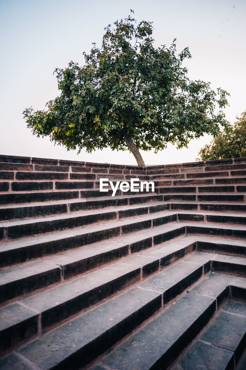 Low angle view of tree against sky. 