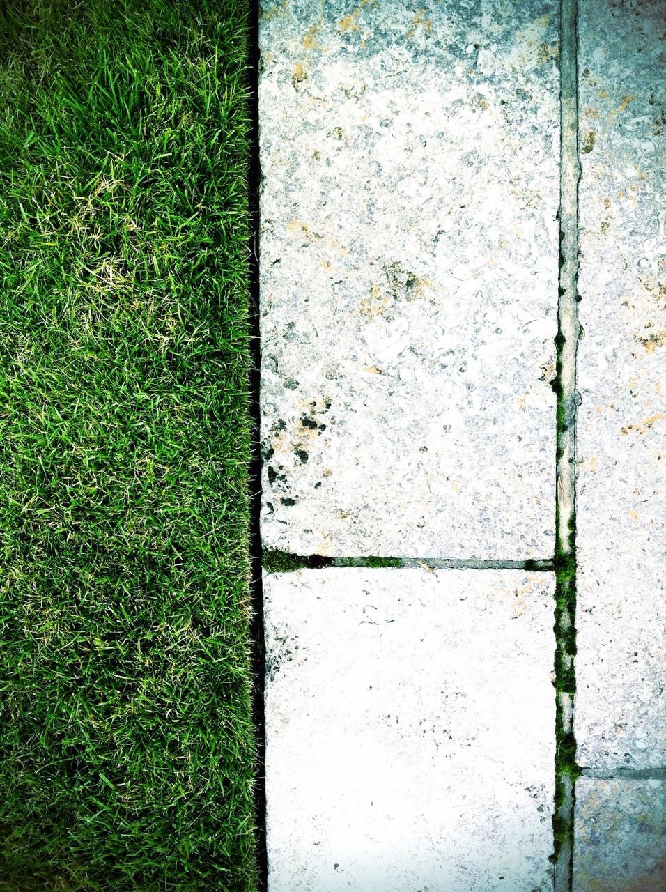 Close-up of grass and tiled ground