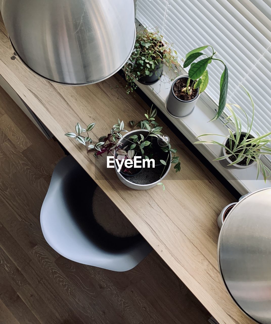 HIGH ANGLE VIEW OF POTTED PLANT IN BOWL ON TABLE