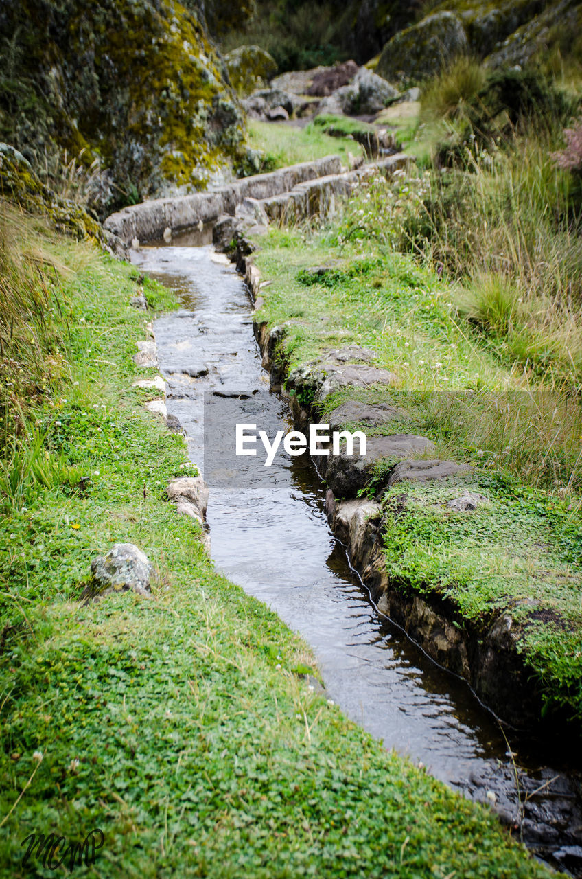 VIEW OF STREAM AMIDST GRASS ON LANDSCAPE