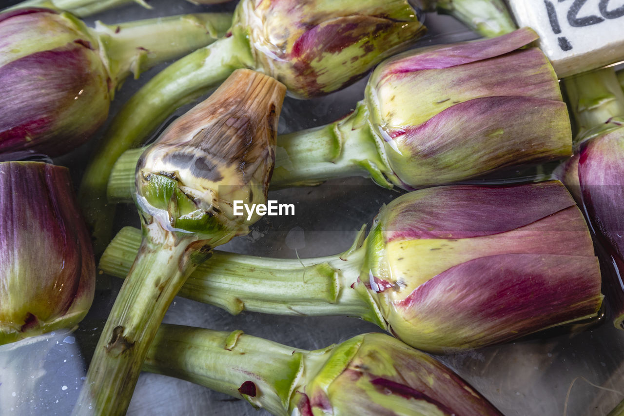 food, food and drink, freshness, healthy eating, vegetable, wellbeing, market, raw food, produce, no people, still life, high angle view, organic, large group of objects, for sale, abundance, close-up, retail, artichoke, onion, plant, thistle, market stall, flower, purple, eggplant, directly above, indoors, green, ingredient, shallot, business, day, full frame