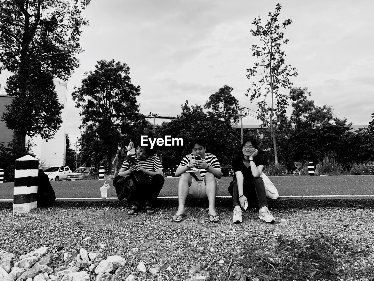 GROUP OF PEOPLE SITTING ON PLANTS AGAINST TREES