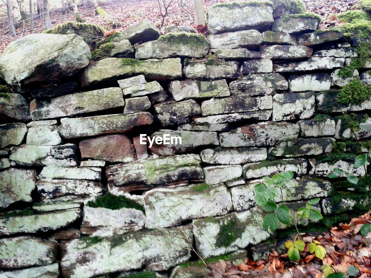 Close-up of stone wall at park