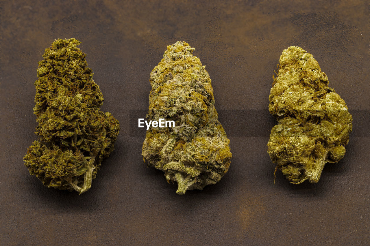 3 different strains of cannabis buds on a leather background