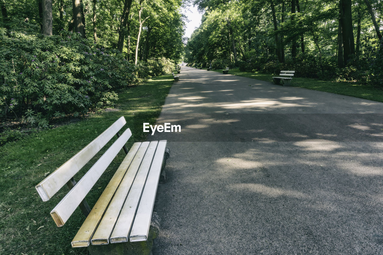 EMPTY BENCH IN PARK BY ROAD AGAINST TREES