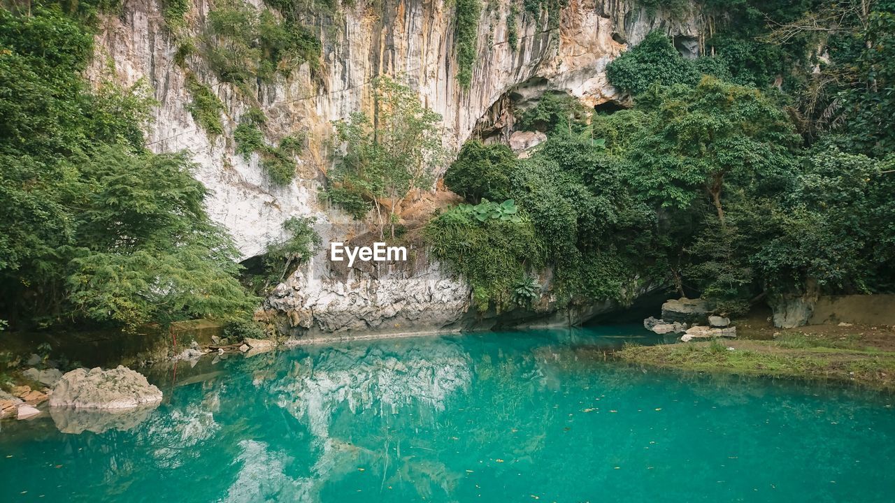 Scenic view of waterfall in forest