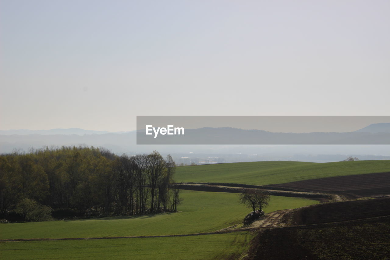 SCENIC VIEW OF GRASSY FIELD AGAINST SKY