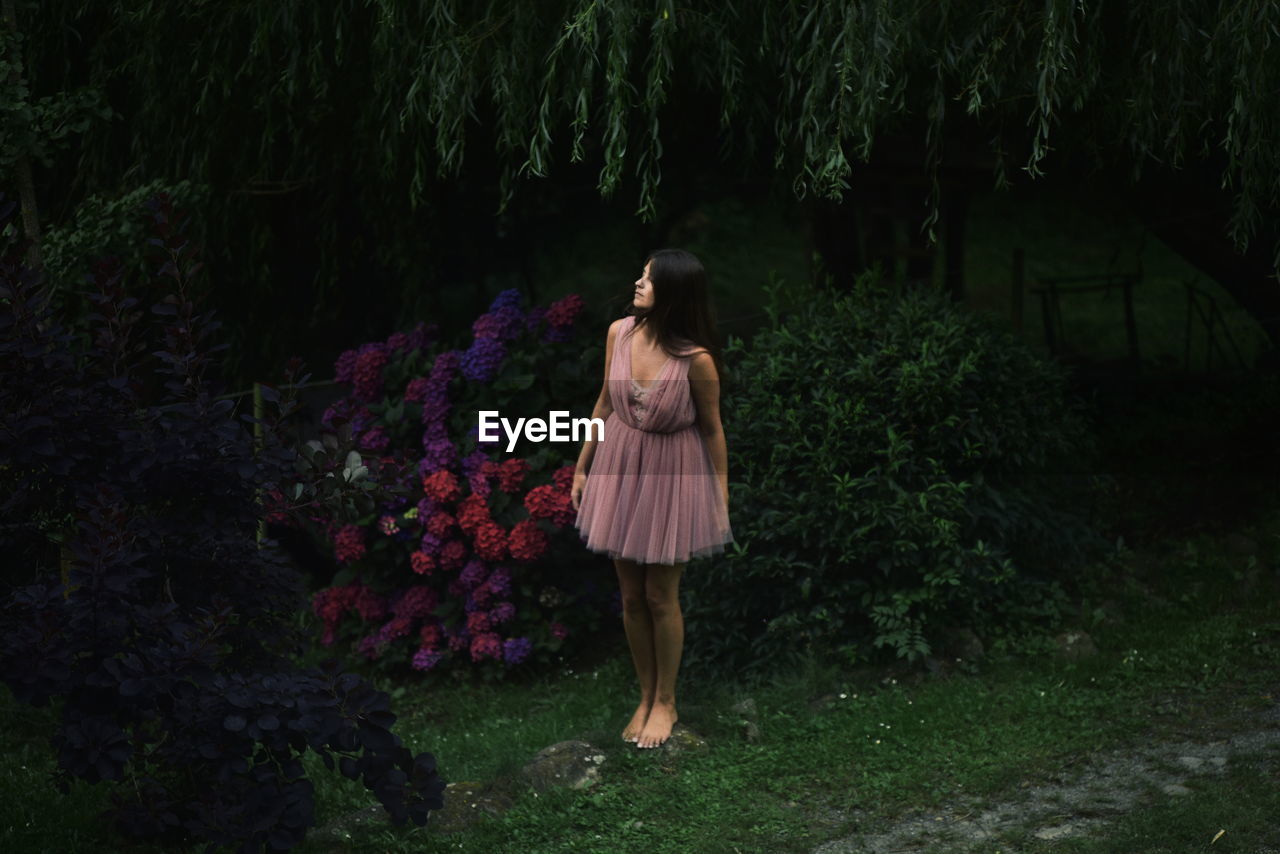 REAR VIEW OF WOMAN STANDING BY FLOWERING TREE