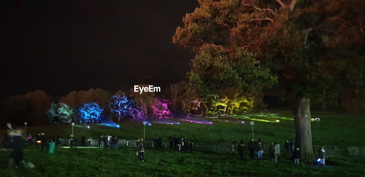 Field against trees at night