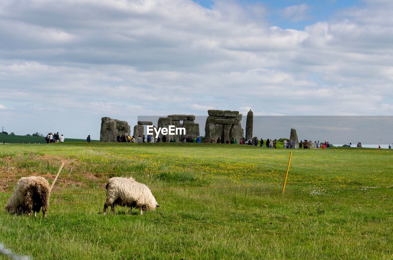 Sheep and tourists at stonehenge on the salisbury plain, wiltshire, england