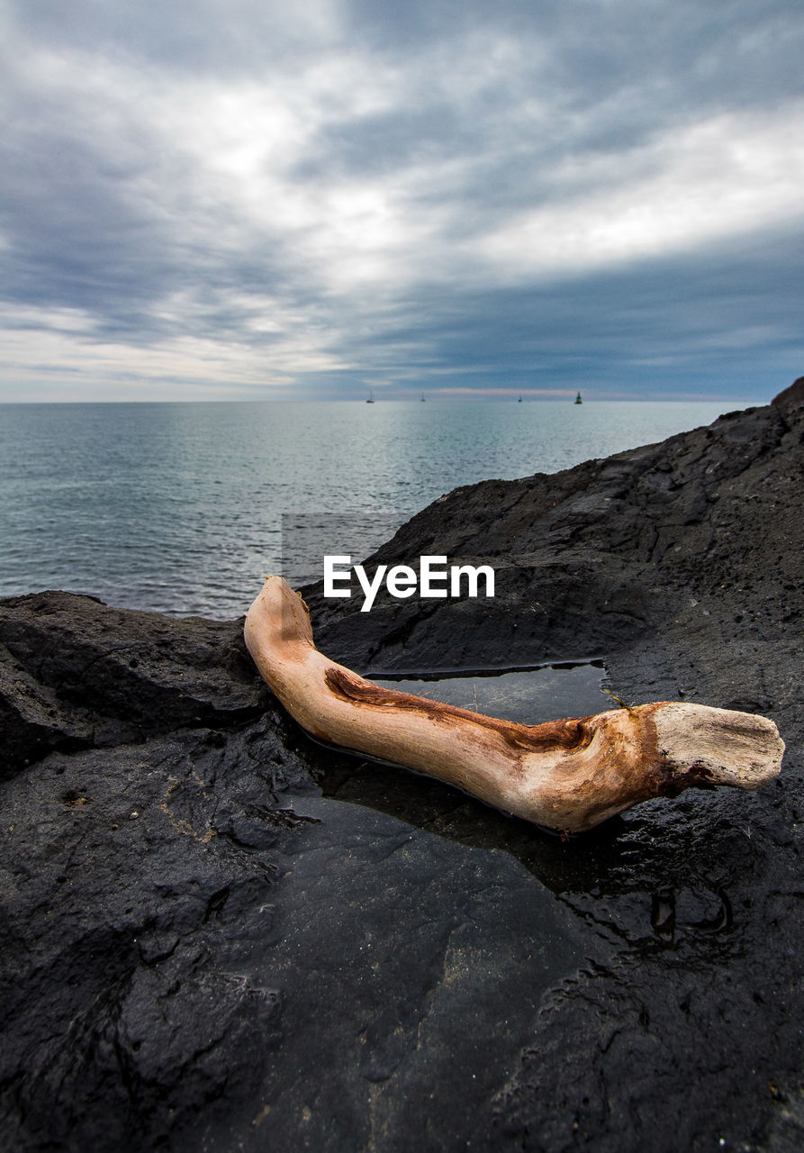 Driftwood on beach against sky