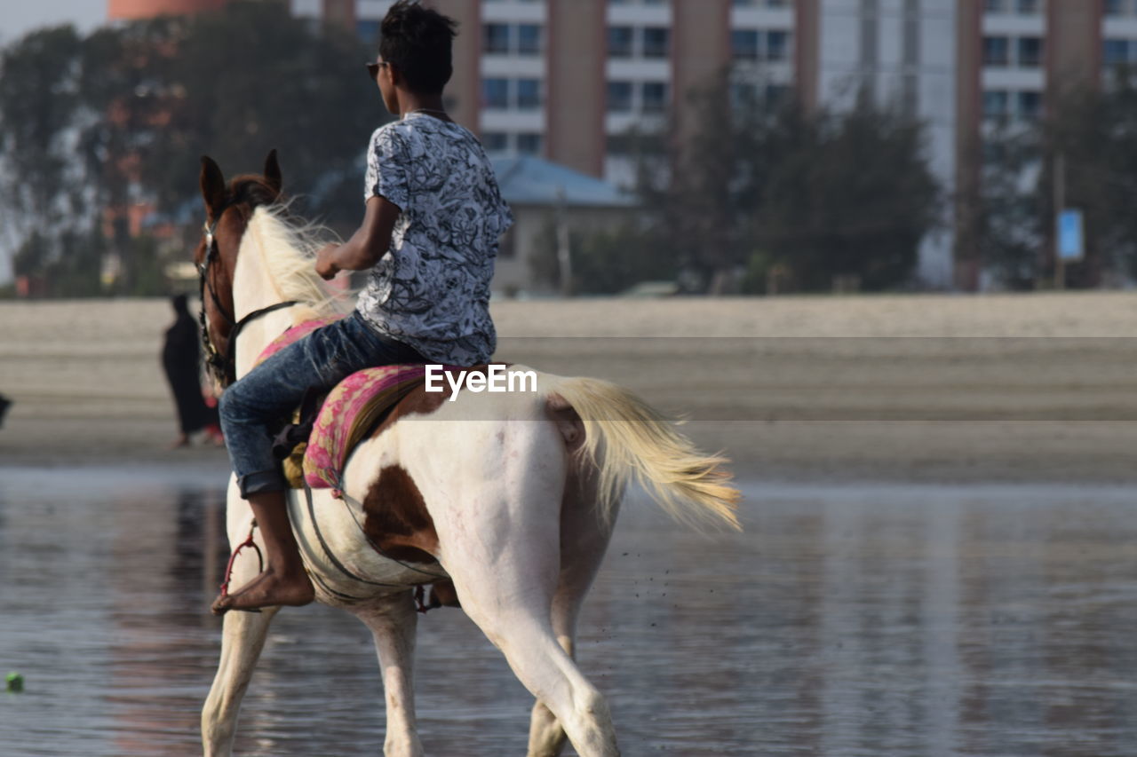 Man riding horse at beach