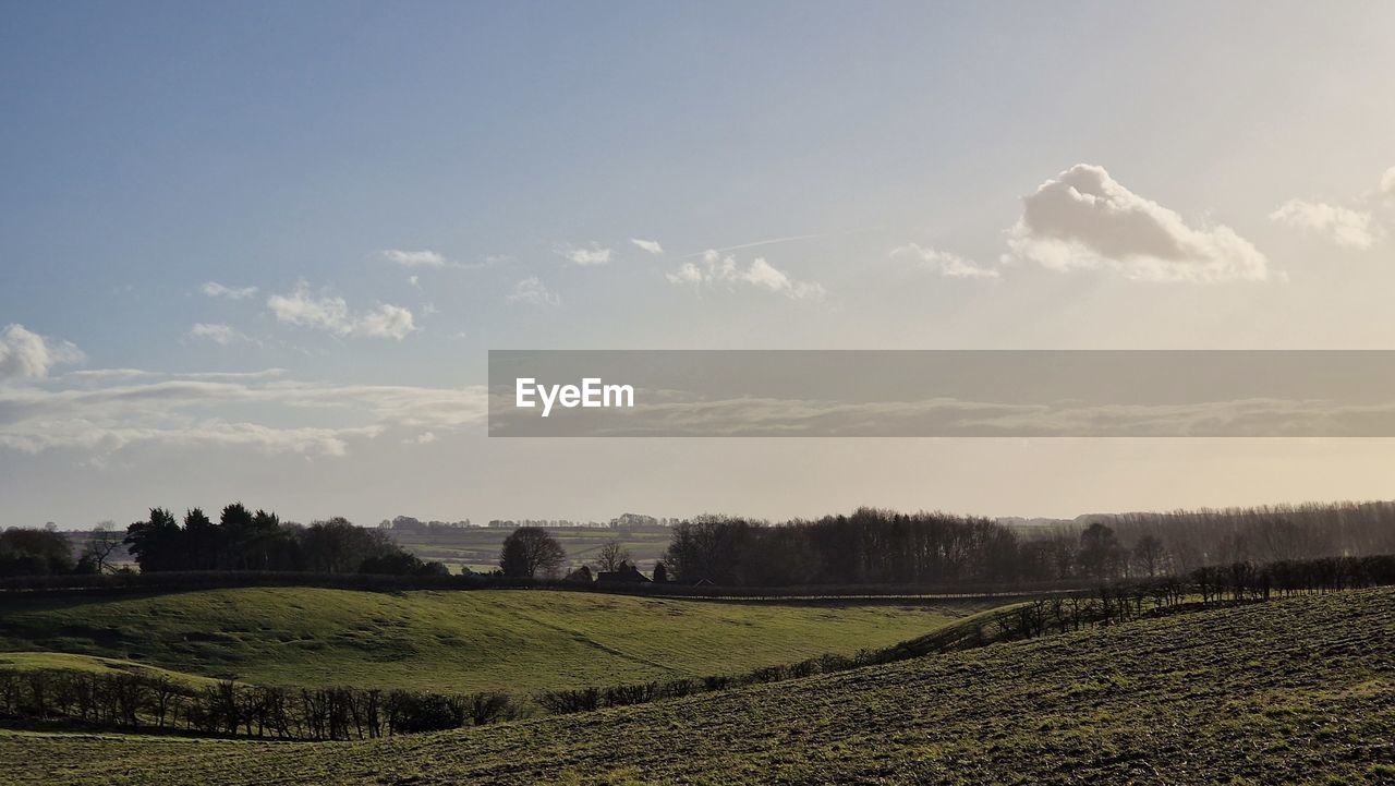 landscape, sky, environment, morning, horizon, nature, land, field, cloud, plant, rural scene, hill, scenics - nature, agriculture, rural area, beauty in nature, tranquility, tree, sunlight, plain, crop, farm, no people, tranquil scene, grass, food and drink, growth, dawn, outdoors, sun, food, grassland, idyllic, social issues, prairie, fog, travel, meadow, non-urban scene, day, freshness