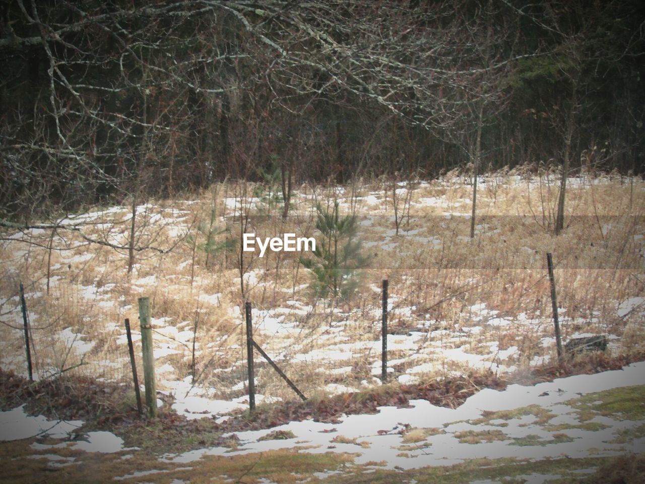 SCENIC VIEW OF SNOW COVERED LANDSCAPE