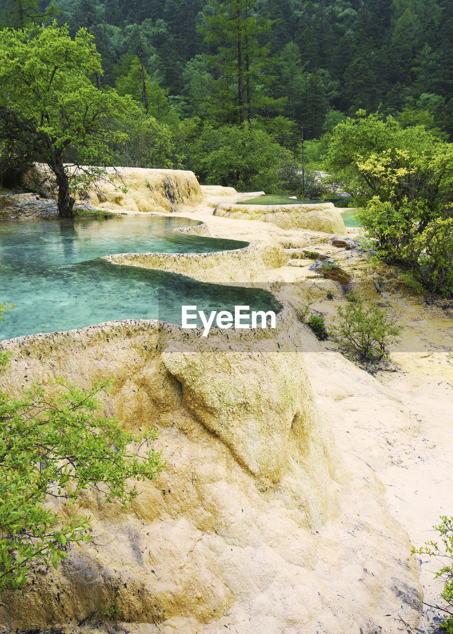 Scenic view of lake by trees