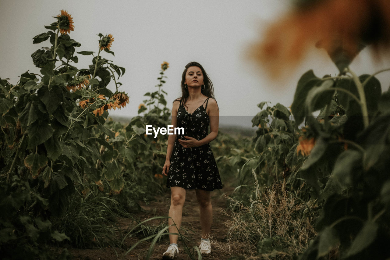 Young woman walking at sunflower farm