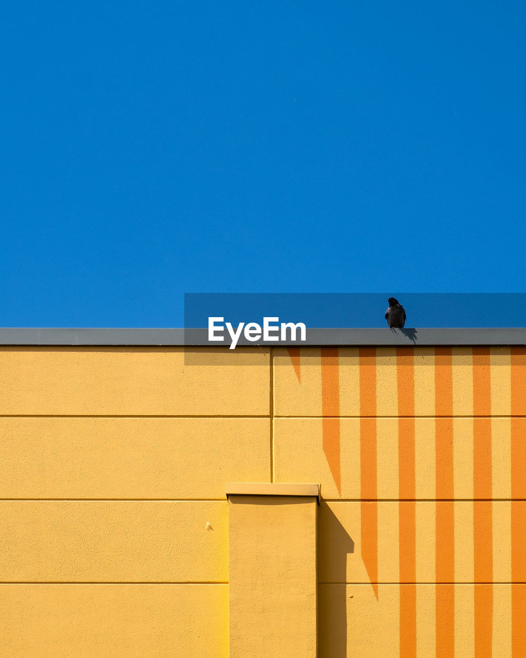 Low angle view of bird on building against clear blue sky
