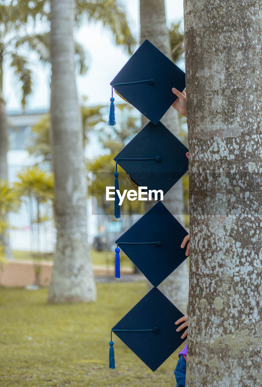 Low angle view of tree trunk