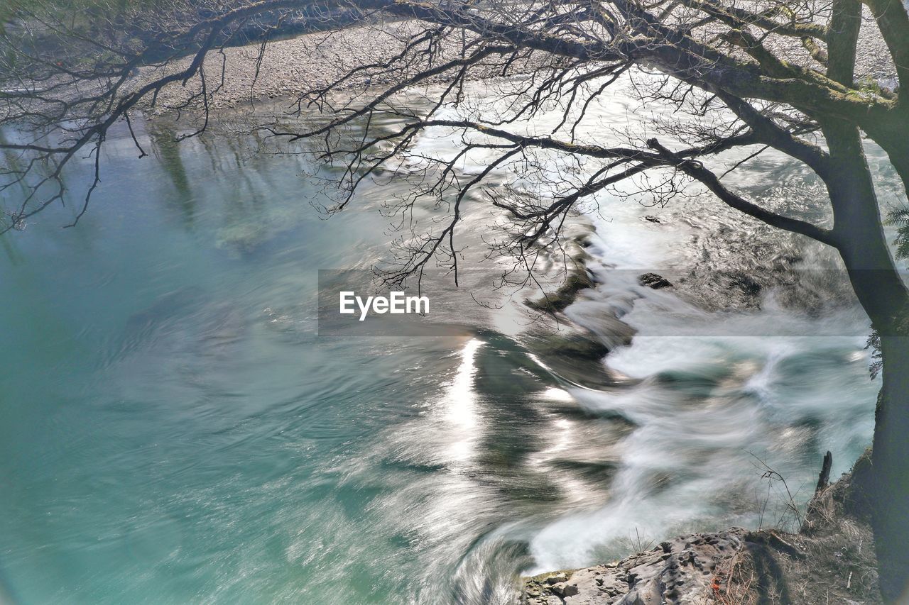 SCENIC VIEW OF BARE TREE