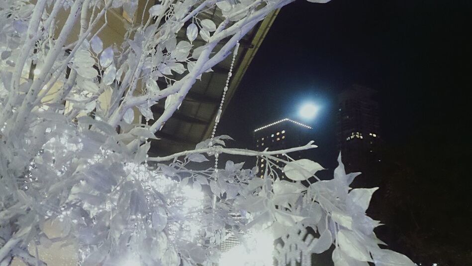 LOW ANGLE VIEW OF ILLUMINATED LIGHTS AT NIGHT