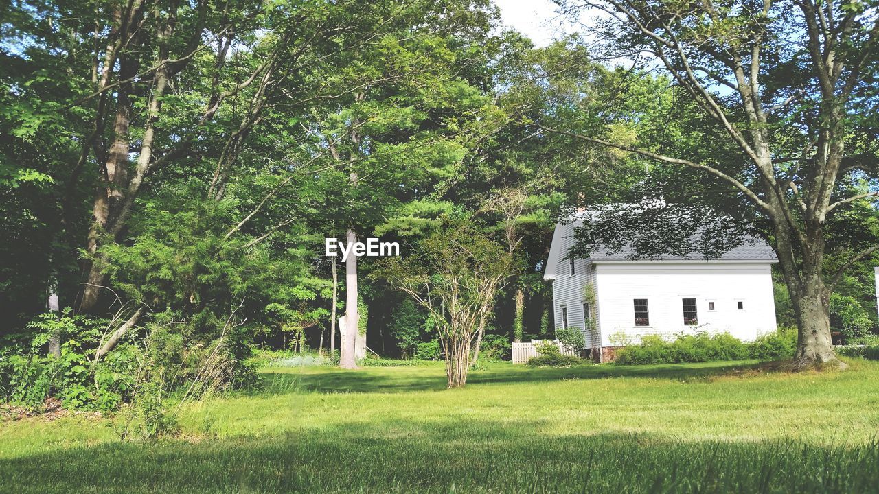 White barn in a yard with trees and grass