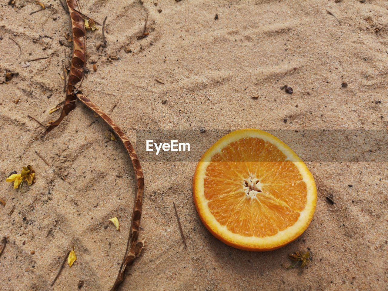 HIGH ANGLE VIEW OF ORANGE SLICES