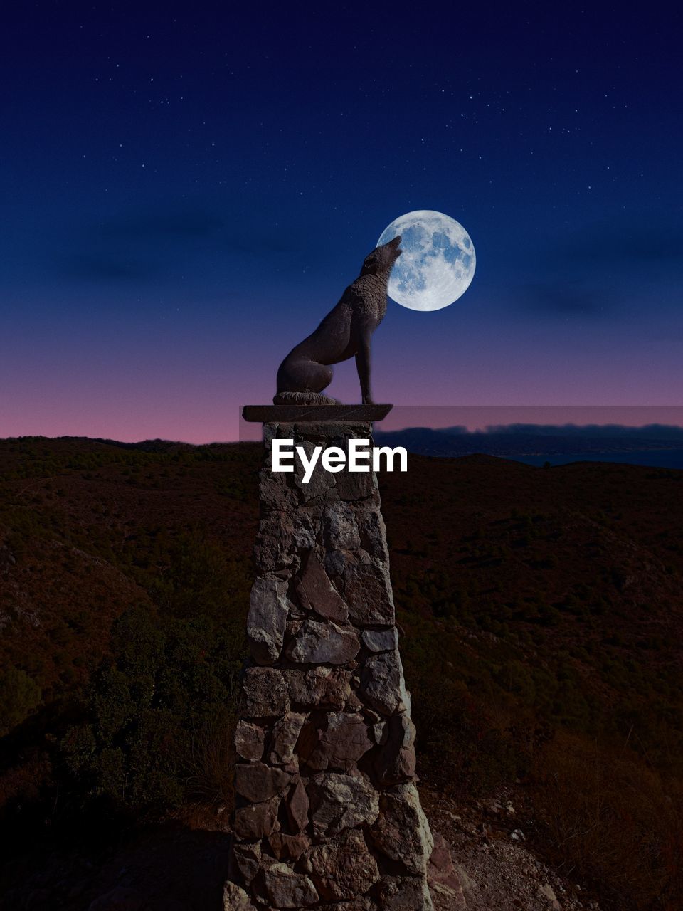 low angle view of man standing on rock